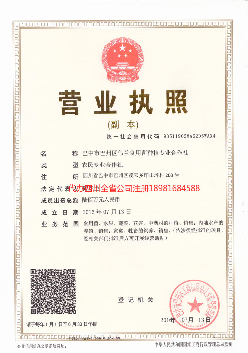 宁夏宁夏伟兰食用菌种植专业合作社